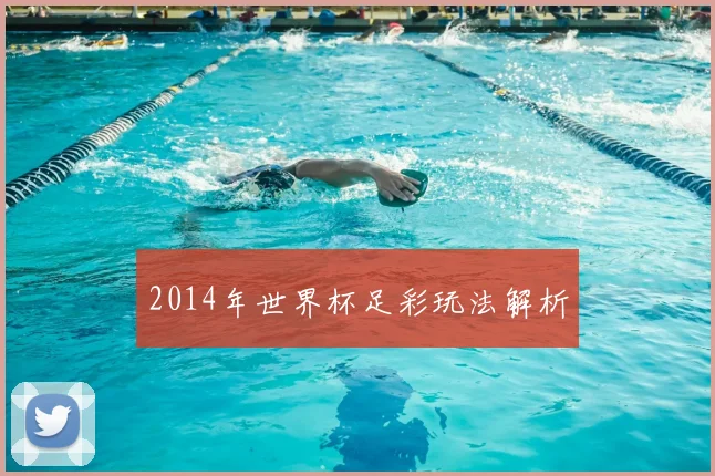 2014年世界杯足彩玩法解析