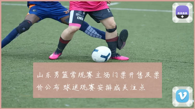 山东男篮常规赛主场门票开售及票价公布 球迷观赛安排成关注点