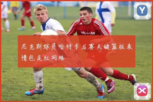 尼克斯球员哈特季后赛关键篮板表情包走红网络