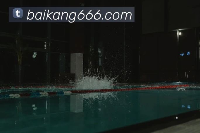 App Interface Preview