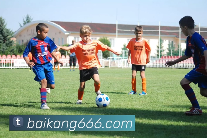 数据防护可视化